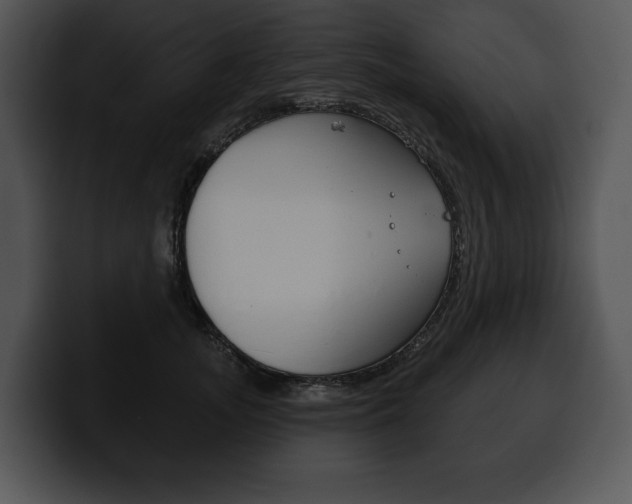 X0000100500755200806130729