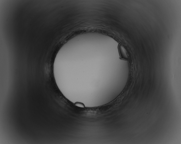 X0000100500756200806130729