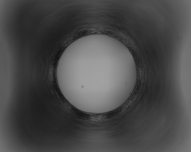 X0000100500757200806130729