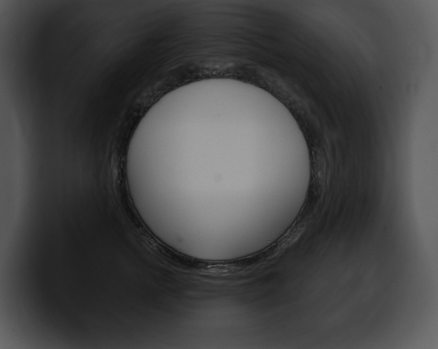 X0000100500758200806130729
