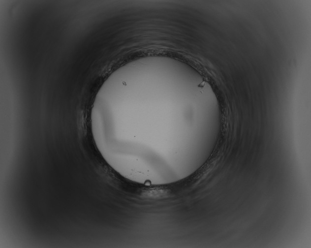 X0000100500759200806130729
