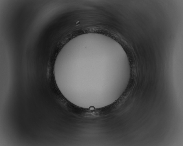 X0000100500760200806130729