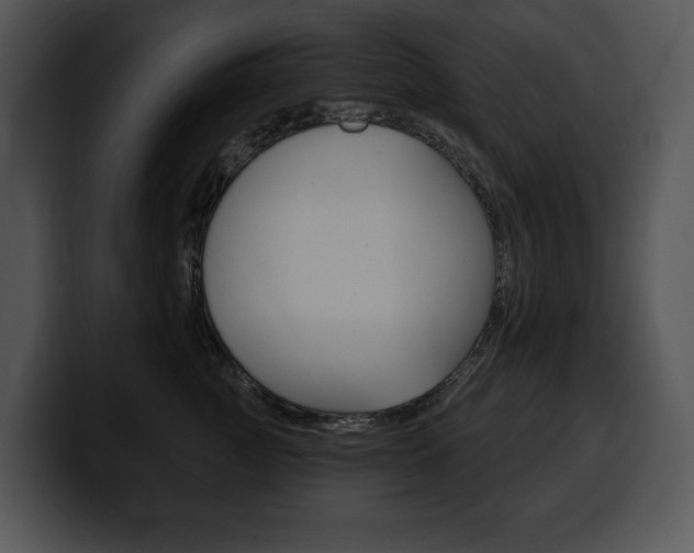 X0000100500761200806130729