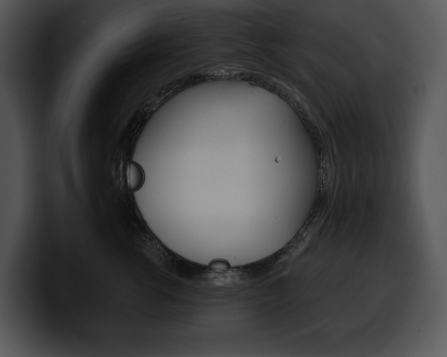 X0000100500762200806130729