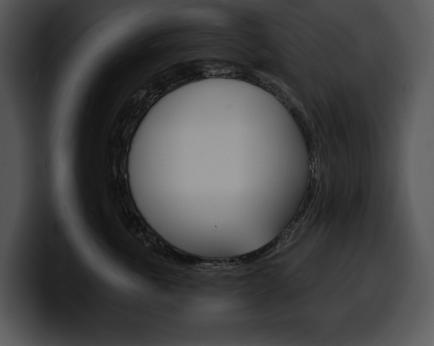 X0000100500763200806130729