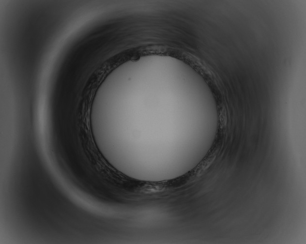 X0000100500764200806130729