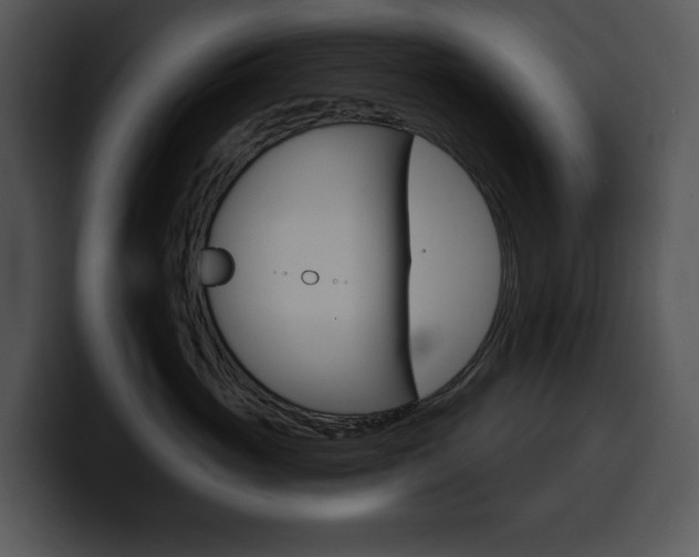 X0000100500765200806130729