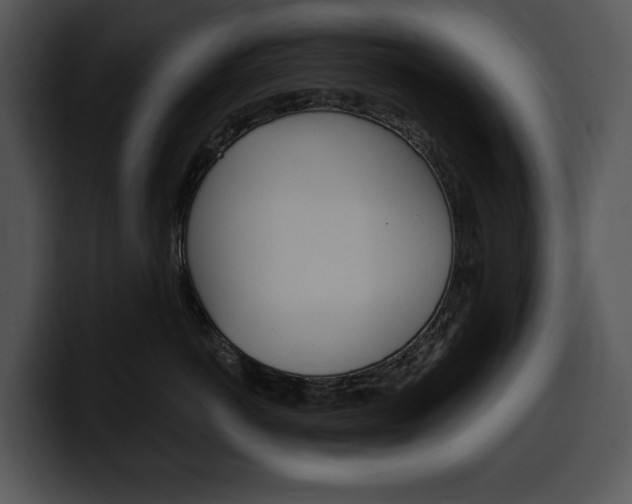 X0000100500766200806130729