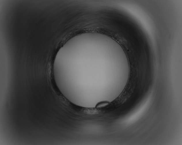 X0000100500767200806130729