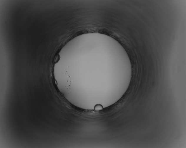 X0000100500768200806130729