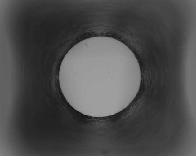 X0000100500769200806130729