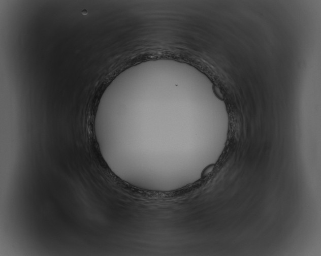 X0000100500770200806130729
