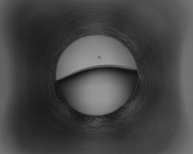 X0000100500772200806130729