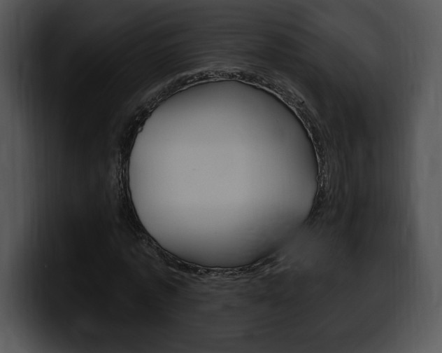 X0000100500773200806130729