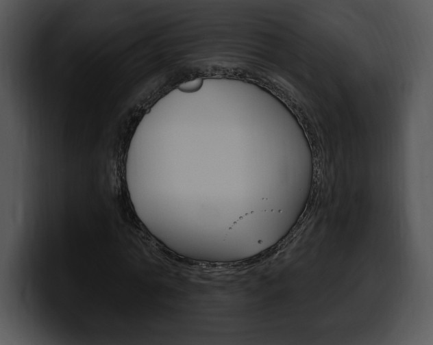 X0000100500774200806130729