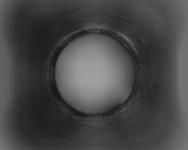 X0000100500775200806130729