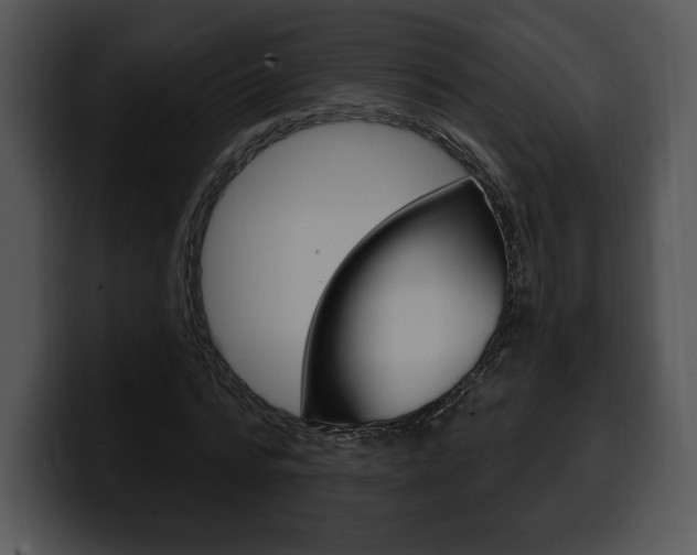 X0000100500776200806130729