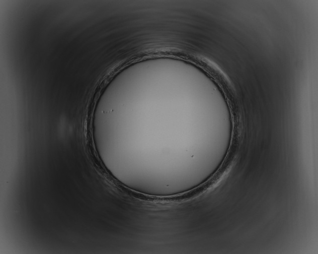 X0000100500777200806130729