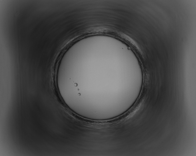 X0000100500778200806130729