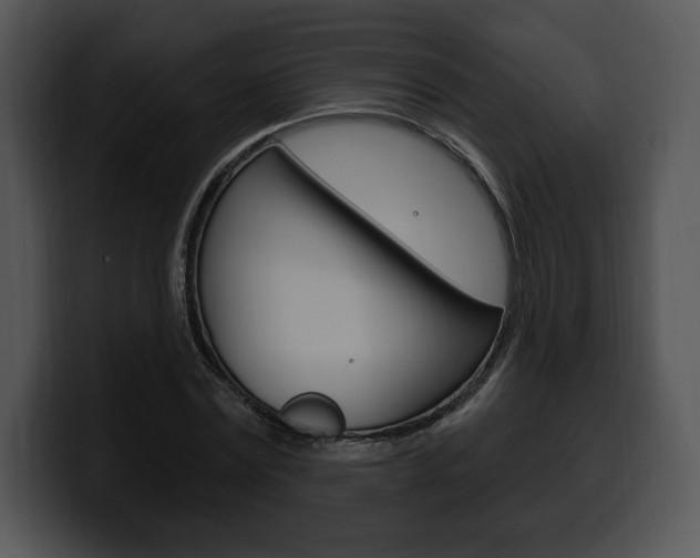 X0000100500779200806130729