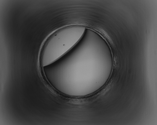 X0000100500780200806130729