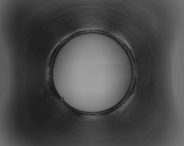 X0000100500781200806130729
