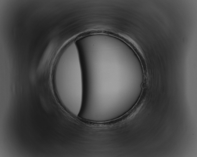 X0000100500783200806130729