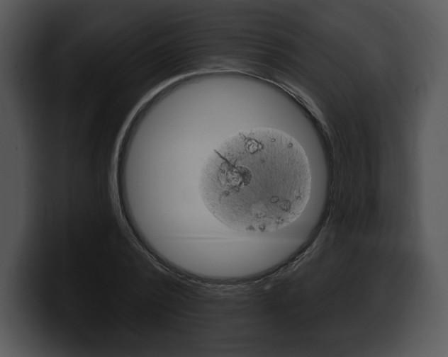 X0000100500784200806130729