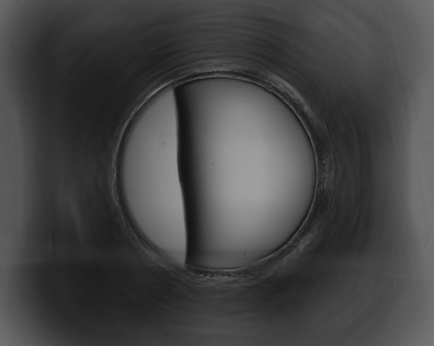 X0000100500786200806130729