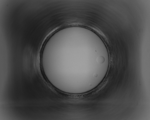 X0000100500790200806130728