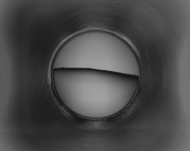 X0000100500791200806130728