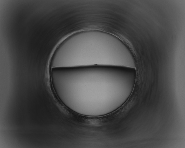 X0000100500792200806130728