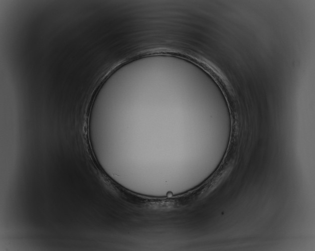 X0000100500793200806130728