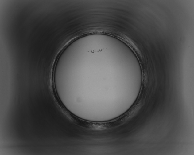 X0000100500794200806130728