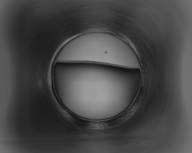 X0000100500795200806130728
