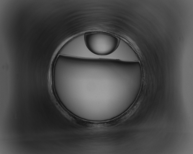 X0000100500796200806130728
