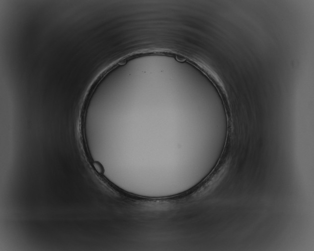 X0000100500797200806130728