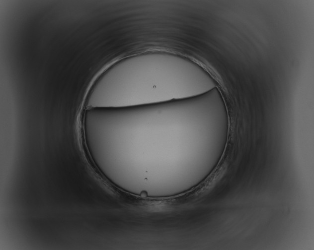 X0000100500798200806130728
