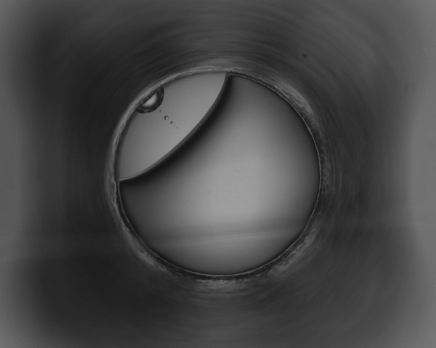 X0000100500800200806130728