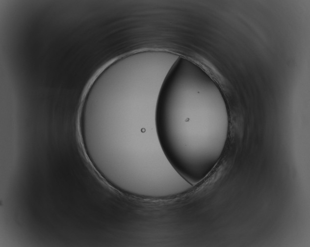 X0000100500804200806130728