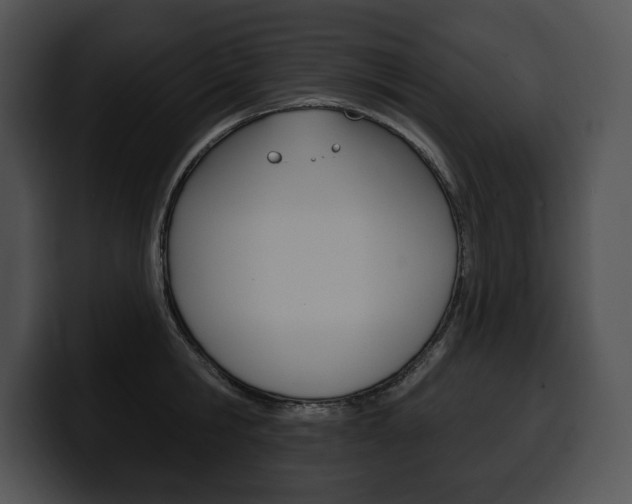 X0000100500806200806130728