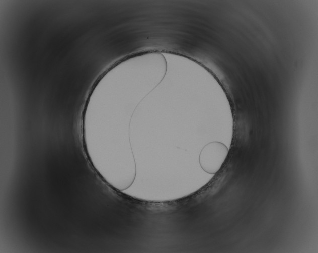 X0000100500807200806130728