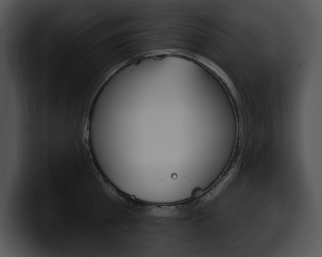 X0000100500809200806130728