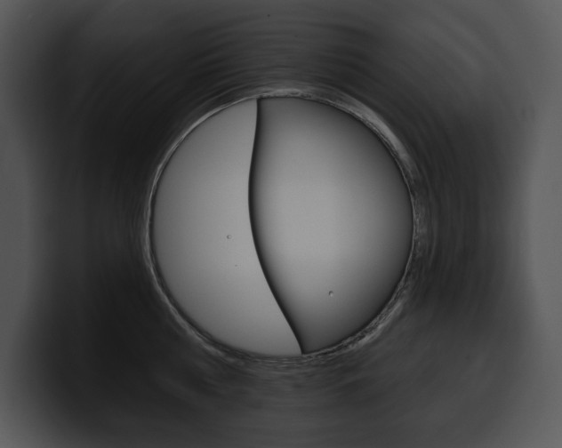 X0000100500810200806130728