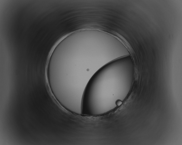 X0000100500812200806130728