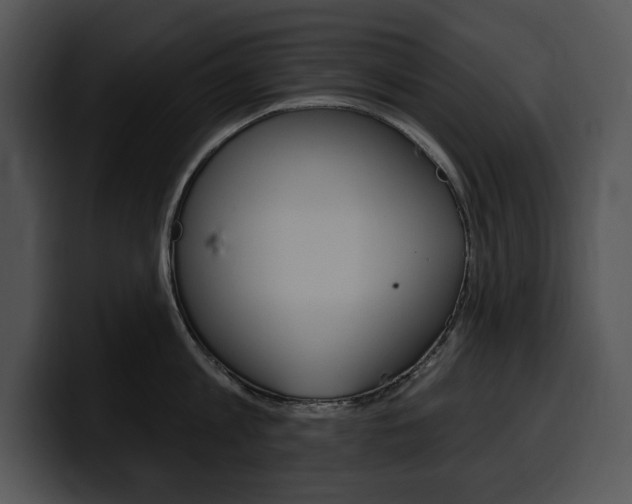 X0000100500813200806130728