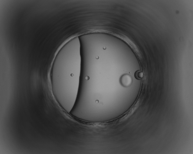 X0000100500814200806130728