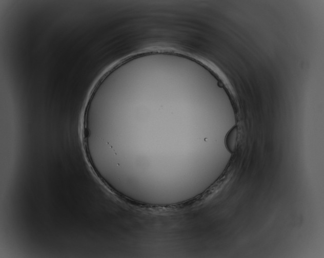 X0000100500815200806130728