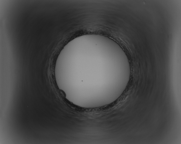 X0000100500817200806130728
