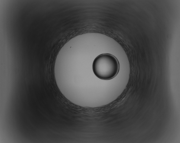 X0000100500818200806130728